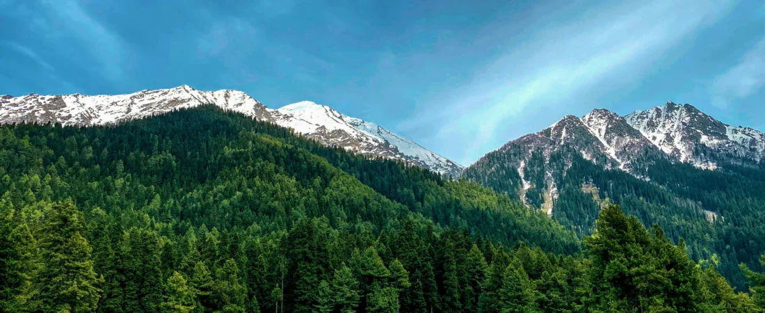this image is used for pahalgam